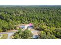Aerial view of a modern home nestled within a lush, expansive green forest, offering privacy at 91 Locust Loop, Ocala, FL 34472