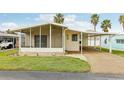 Inviting single story home with attached carport, screened porch, and lush green lawn enhanced with palm trees at 12 Hilly Way, Fruitland Park, FL 34731