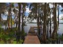 Wooden dock extending into a lake surrounded by trees at 9622 Dr Baker Rd, Groveland, FL 34736