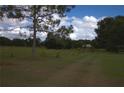 Open pasture with a tree and distant view of a home at 9622 Dr Baker Rd, Groveland, FL 34736