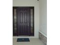 Dark brown front door with sidelights and a decorative doormat at 14428 Crest Palm Ave, Windermere, FL 34786