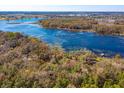 Aerial view of the property showcasing its waterfront location, surrounded by lush trees, with a green outline of the lot at 6100 Windmill Rd, Leesburg, FL 34748