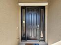 Elegant black front door with sidelights, enhancing curb appeal at 8065 Penrose Pl, Wildwood, FL 34785