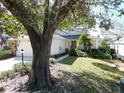 One-story home with a large oak tree and well-maintained lawn at 24947 Cranes Roost Cir, Leesburg, FL 34748