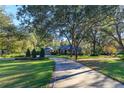 Long driveway leading to a charming house nestled among trees at 2614 W Ponkan Rd, Apopka, FL 32712