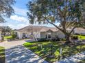 House exterior with driveway and large tree in front at 6220 Topsail Rd, Lady Lake, FL 32159