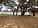 Spacious backyard with lake access, mature trees, and privacy at 73 N Carol Ave, Mascotte, FL 34753