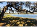 Scenic lake view with lush greenery and a partly sunny sky at 73 N Carol Ave, Mascotte, FL 34753