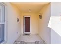 Inviting entryway with a dark brown door and decorative flooring at 1341 Lajolla Cir, The Villages, FL 32159