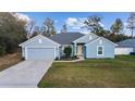 Charming one-story home with a well-manicured lawn, two car garage, and light blue painted siding at 15065 Se 93Rd Ave, Summerfield, FL 34491