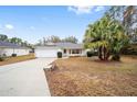 Single story house with a white exterior, attached garage, and palm tree at 26 Pecan Pass Run, Ocala, FL 34472