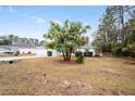 House exterior showcasing a palm tree and a well-maintained lawn at 26 Pecan Pass Run, Ocala, FL 34472