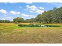 Serene pond surrounded by lush greenery and large oak trees at 4557 Antietam Creek Trl, Leesburg, FL 34748