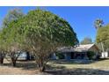 Cozy single-story home with mature trees and a serene front yard at 11221 Lake Eustis Dr, Leesburg, FL 34788