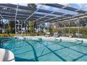 Relaxing kidney-shaped pool, screened patio, lake view at 1401 Lake Shore Blvd, Tavares, FL 32778