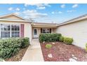 Landscaped front yard with a walkway leading to the house entrance at 3200 Woodridge Dr, The Villages, FL 32162