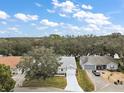 Community overview, showcasing several homes and lush green spaces at 5505 Tangelo St, Leesburg, FL 34748