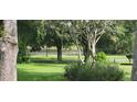 Beautiful front yard featuring lush green grass, mature trees, and water view at 25941 Newcombe Cir, Leesburg, FL 34748