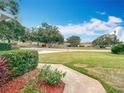 The front yard has a walkway and grass and plants with a view of the street and trees at 39656 Harbor Hills Blvd, Lady Lake, FL 32159