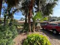 House exterior with mature landscaping and a red truck in driveway at 509 Jackson St, Eustis, FL 32726