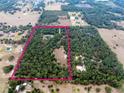 Large lot with a home situated in the middle of a wooded area at 3493 Edwards Road, Lady Lake, FL 32159