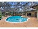 Refreshing kidney-shaped pool with screened patio at 9605 Hollyglen Pl, Windermere, FL 34786