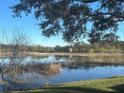 Scenic view of a tranquil lake with lush greenery and a blue sky at 24825 Pine Hl, Leesburg, FL 34748