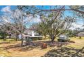 Large backyard with mature trees, playset, and shed at 32531 Wolfs Trl, Sorrento, FL 32776