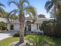 House with palm trees, gray roof, white walls, and a landscaped yard at 21152 Royal St Georges Ln, Leesburg, FL 34748