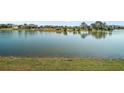 Picturesque view of the tranquil pond, highlighting the serene and natural surroundings of the property at 8920 Bridgeport Bay Cir, Mount Dora, FL 32757