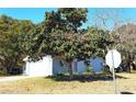 Side view of a light blue house with a garage and lush tree at 10337 Se 176Th St, Summerfield, FL 34491