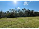 Spacious backyard with grassy area and tree line at 917 Shorehaven Dr, Poinciana, FL 34759