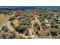 Aerial view of estate, lush acreage, mature trees, main house and separate guest house at 9210 County Road 48, Yalaha, FL 34797