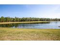 Expansive lake view displaying clear waters and a tree-lined shore against a clear blue sky at 16825 Sunrise Vista Dr, Clermont, FL 34714