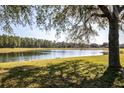Scenic lake view showcasing the serene water and bordering trees on a sunny day at 16825 Sunrise Vista Dr, Clermont, FL 34714