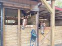 This well-maintained barn features individual stalls for horses, providing comfort and security for equine residents at 37807 Felkins Rd, Leesburg, FL 34788