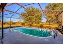 Enclosed outdoor pool with metal frame and concrete deck, providing privacy at 11325 Michael John Rd, Howey In The Hills, FL 34737