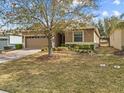 Single-story house featuring a well-manicured lawn, mulch flowerbeds, and a driveway leading to an attached garage at 3808 Serena Ln, Clermont, FL 34711