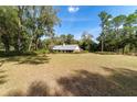 Expansive backyard with lush green grass and mature trees, offering privacy and space for outdoor activities at 5200 Ne 20 St, Ocala, FL 34470