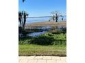 Scenic view of a serene lake with lush vegetation and clear blue skies providing a tranquil waterfront experience at 2229 Cypress Ct # C-4, Tavares, FL 32778
