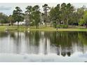 Picturesque view of lake with horses grazing on the lawn in the distance at 12066 Se 60Th Avenue Rd, Belleview, FL 34420