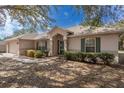 Charming home featuring a neutral color scheme, decorative shutters, and a well-maintained lawn with mature trees at 2256 Lake Pointe Cir, Leesburg, FL 34748