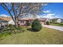 Charming home featuring a well-maintained lawn, mature tree, and long driveway at 1537 Eastover Ter, The Villages, FL 32162