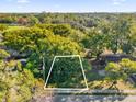 An aerial view of a land lot surrounded by lush trees at 1620 N Rhodes St, Mount Dora, FL 32757