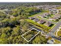 An aerial view of a vacant lot amidst lush greenery, perfect for building your dream home at 2030 N Highland St, Mount Dora, FL 32757