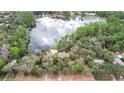 Aerial view of a lakeside home surrounded by trees and greenery, with a lake view at 31241 Benton Dr, Eustis, FL 32736