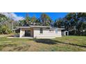 Spacious backyard featuring a well-maintained lawn, exterior storage shed, and home's neutral color palette at 709 S Highland St, Mount Dora, FL 32757