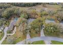 Aerial view of the property showcasing the home's layout, surrounding greenery, and proximity to neighbors at 19666 Sw 88Th Loop, Dunnellon, FL 34432