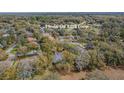 An overhead shot of the home at 19666 SW 88th Loop in a lush, green neighborhood at 19666 Sw 88Th Loop, Dunnellon, FL 34432