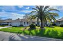 Beautifully landscaped home featuring a lush green lawn and mature palm trees at 21623 Regency Park Ln, Leesburg, FL 34748